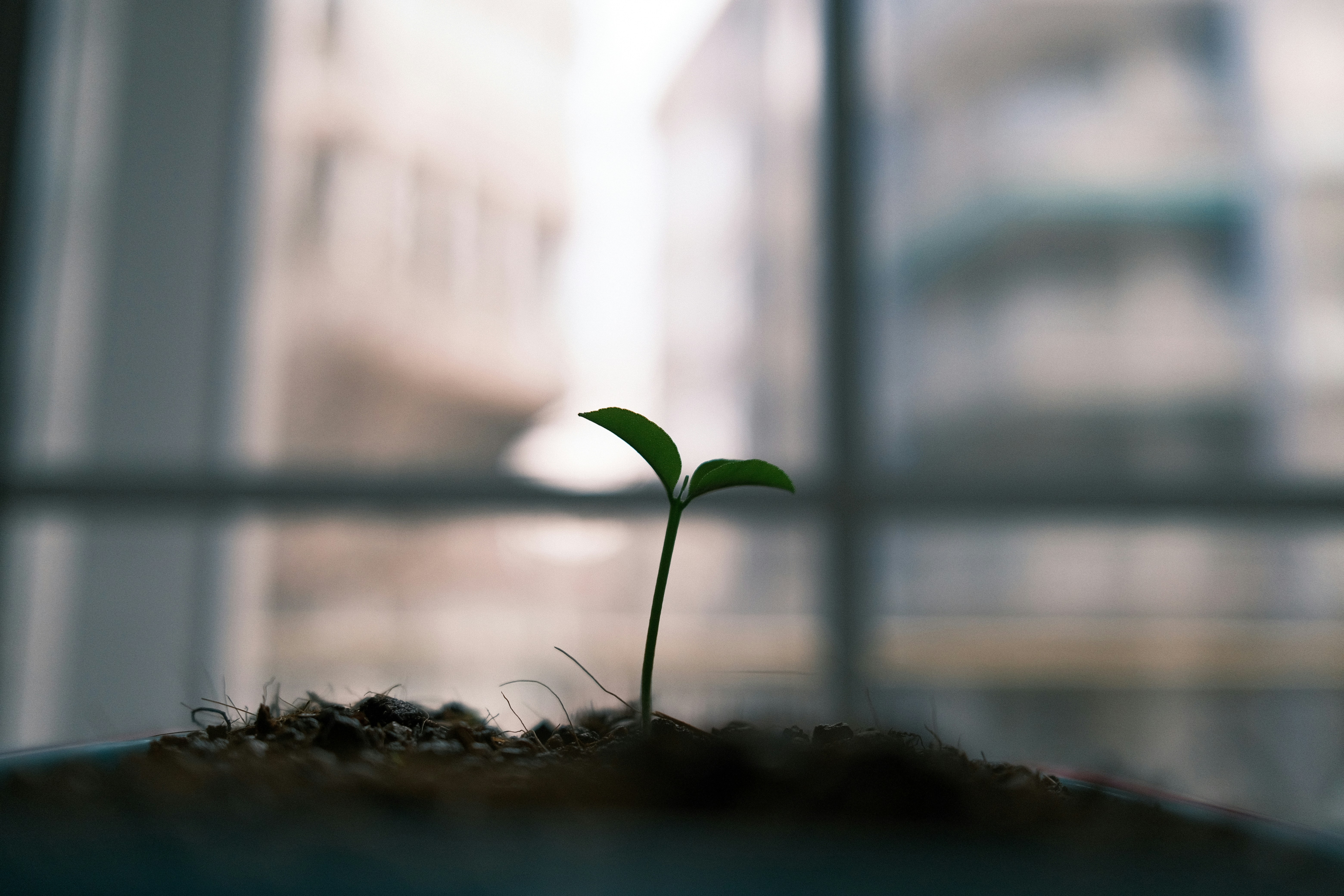 Building With Clarity, Growing With Purpose